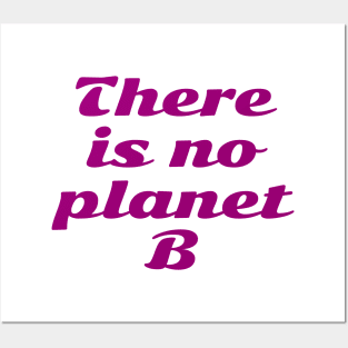 PLANET B 14 Posters and Art